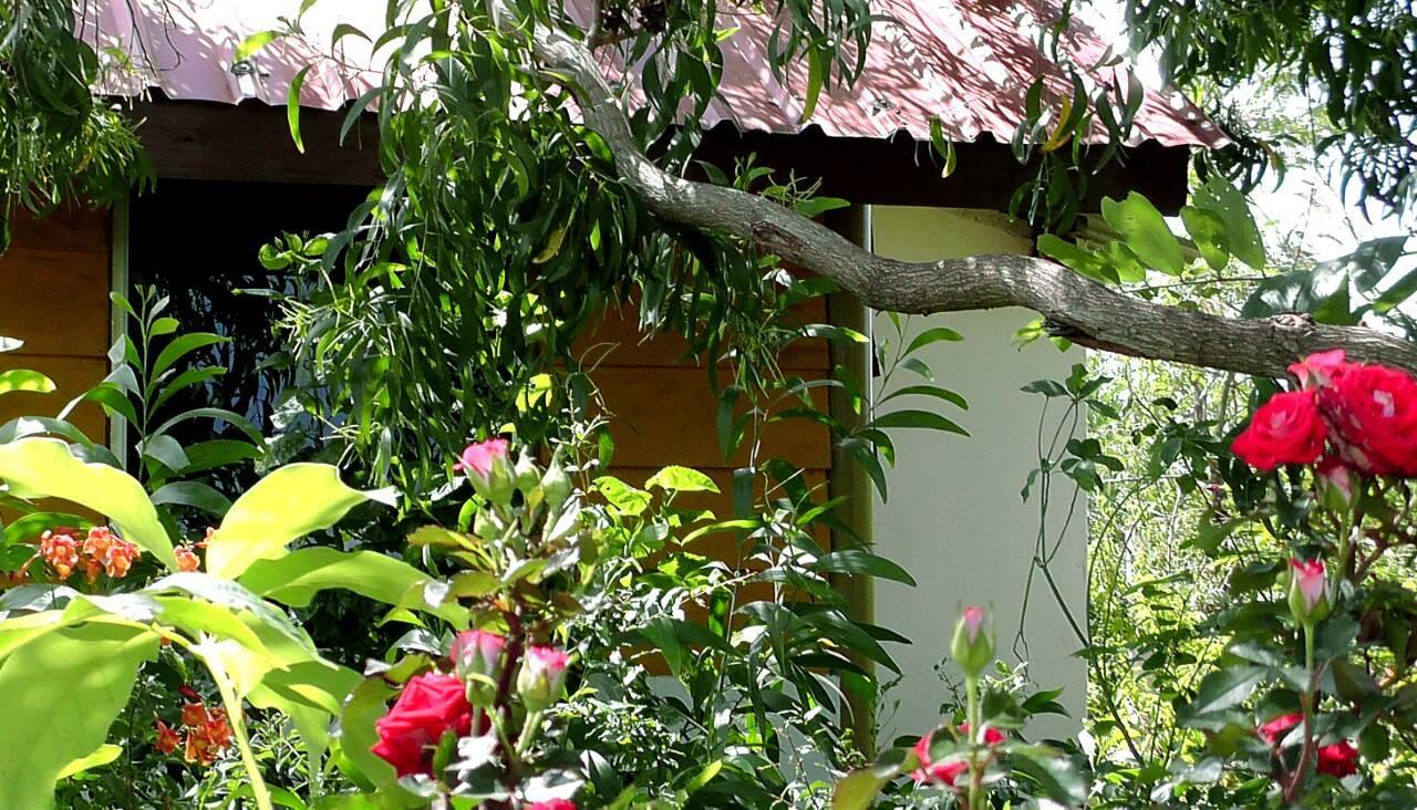 ซันน์ ท็อป คาบานา Hotel ตรินโคมาลี ภายนอก รูปภาพ